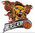 黑龙江丰绅 logo