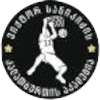 VSA U22 logo