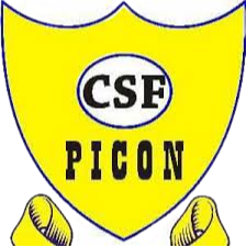 CSF皮孔 logo